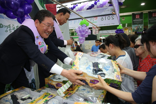 ▲ 박세복 영동군수가 1일 세일즈맨으로 변신해 포도를 판매하고 있다ⓒ영동군