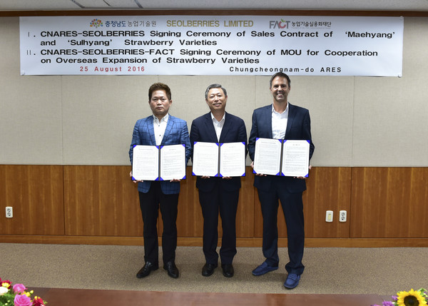▲ 충남농업기술원이 홍콩 딸기 유통업체 설베리와 종묘 판매 계약을 체결했다.ⓒ충남도