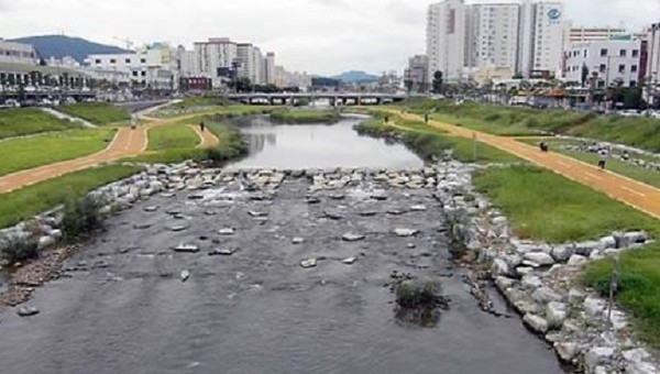 ▲ 대전천 생태하천복원사업 구간.ⓒ대전시