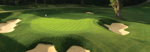 ▲ 세계 100대 코스 중의 하나로 선정되기도 했던 웬트워스 골프장 서(西) 코스의 한 홀의 그린과 이를 둘러싸고 있는 벙커들. ⓒ웬트워스 클럽 홈페이지