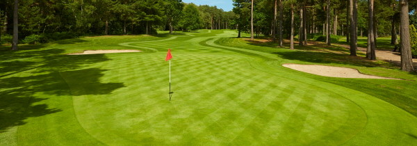 ▲ 세계 100대 코스 중의 하나로 선정되기도 했던 웬트워스 골프장 서(西) 코스의 한 홀의 그린과 이를 둘러싸고 있는 벙커들. ⓒ웬트워스 클럽 홈페이지