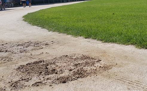 ▲ 서울 소재 A고교의 운동장. 잔디 운동장 옆 트랙이 마사토로 조성되어 있다. ⓒ뉴데일리경제