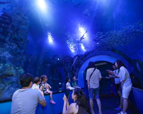 ▲ 단양다누리아쿠아리움 아치 수족관 앞에서 가족단위 관광객들이 기념촬영을 하고 있다.ⓒ단양군