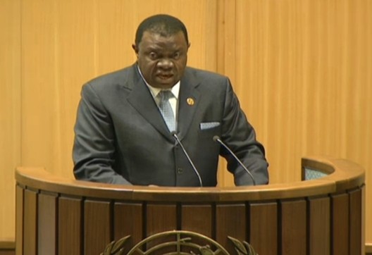 ▲ 북한의 대표적인 아프리카 우방국으로 손꼽히는 나미비아가 북한과의 외교관계를 중단할 뜻이 없다는 입장을 밝혔다. 사진은 하게 겡고부 나미비아 대통령.ⓒ'UN WEB TV'영상 캡쳐