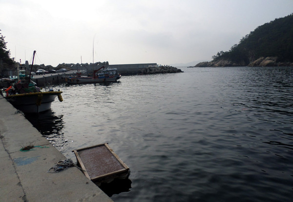 ▲ 경남 거제시 대계항 ⓒ뉴시스