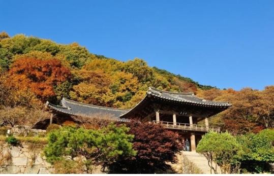 ▲ 영주 부석사ⓒ영동관리역