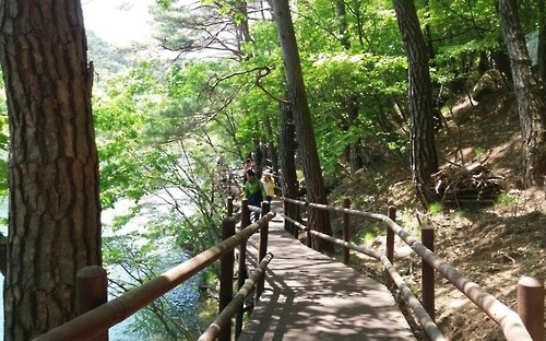 ▲ 속리산 탐방로.ⓒ국립공원속리산사무소