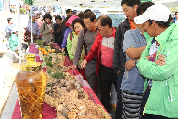 ▲ 지난해 상촌 자연산 버섯 축제 시 모습.ⓒ영동군