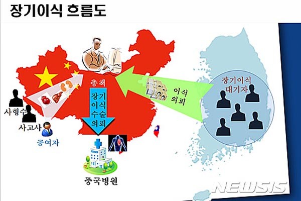 ▲ 지난 12일 부산경찰청 국제범죄수사대는 장기이식을 불법알선한 브로커조직을 8년만에 검거했다고 밝혔다. 사진은 경찰이 공개한 불법 장기이식 소개 흐름도. ⓒ뉴시스. 무단전재 및 재배포 금지.