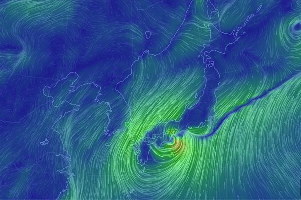 ▲ 20일 오후 1시 30분 현재 한반도와 일본 열도 일대의 풍향. ⓒ어스 윈드맵 화면캡쳐