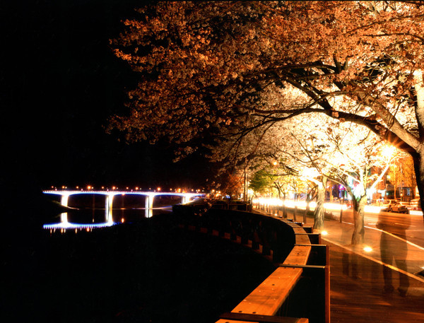 ▲ 단양다누리센터 맞은편 상상의 거리 야경 모습.ⓒ단양군