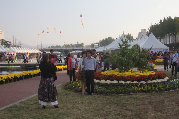 ▲ 지난해 보은대추축제 시 조성된 꽃동산.ⓒ보은군