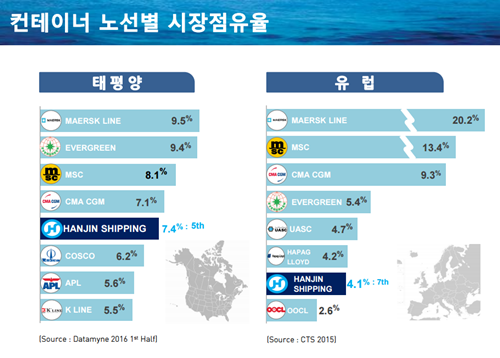 ▲ 컨테이너 노선별 시장점유율 ⓒ선주협회 제공