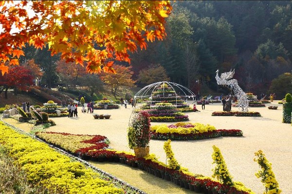 ▲ 대통령 별장 청남대의 가을 풍경.ⓒ충북도