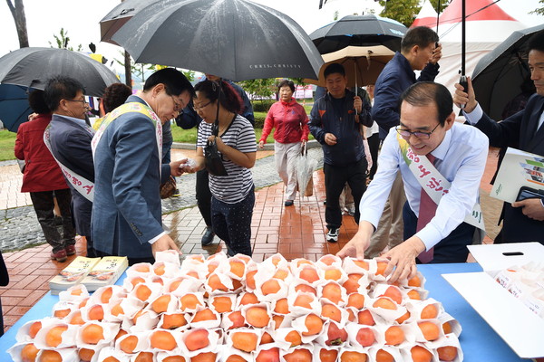 ▲ 청도야외공연장에서 개막한 ‘2016 청도세계코미디아트페스티벌과  청도반시축제’가 지난 9일 대단원의 막을 내렸다. 행사에는 27만여명이 다녀갔다.ⓒ청도군 제공