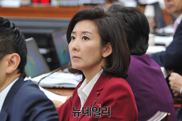 ▲ 새누리당 나경원 의원이 14일 오전 라디오에 출연해 "(중국 어선의 불법 조업에 대응하는 문제는) 우리 주권을 지키는 일"이라며 "초기부터 강경하게 대응했어야 했다"고 주장했다. ⓒ뉴데일리 이종현 기자