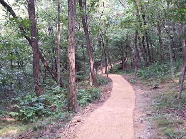 ▲ 대구 앞산 친환경 생태탐방로가 11월10일 드디어 준공돼 시민들을 맞이한다.ⓒ대구시 제공