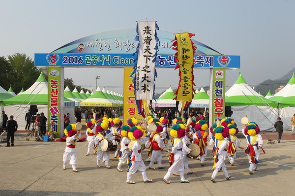 ▲ ‘2016 곤충나라 Clean 예천농산물대축제’ 개막식에 앞서 열린 식전 공연 모습.ⓒ예천군 제공