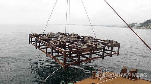▲ 바다에 투하되는 인공어초 ⓒ 연합뉴스