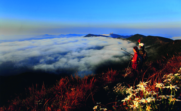 ▲ 소백산 연화봉에 오른 등산객들이 단풍과 함께 피어 오른 운해를 바라보고 있다.ⓒ단양군