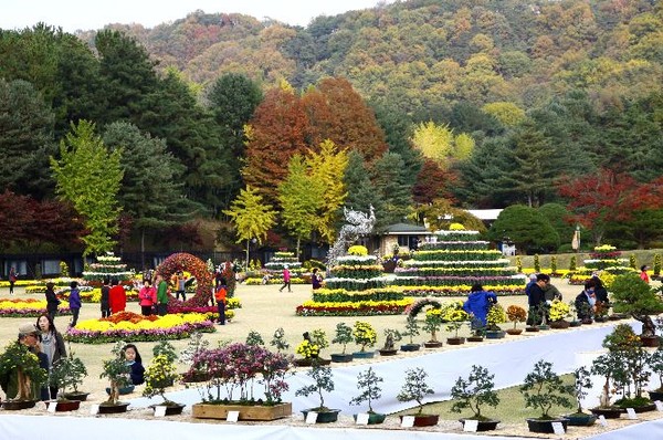 ▲ 대통력 별장 청남대가 22일부터 가을 국화축제를 시작한다.ⓒ충북도