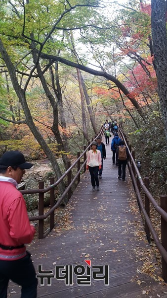 ▲ 잘 조성된 보은 속리산 세조길.ⓒ김정원 기자