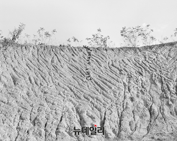 ▲ 용담댐 시리즈-풍경 ⓒ 김혜원