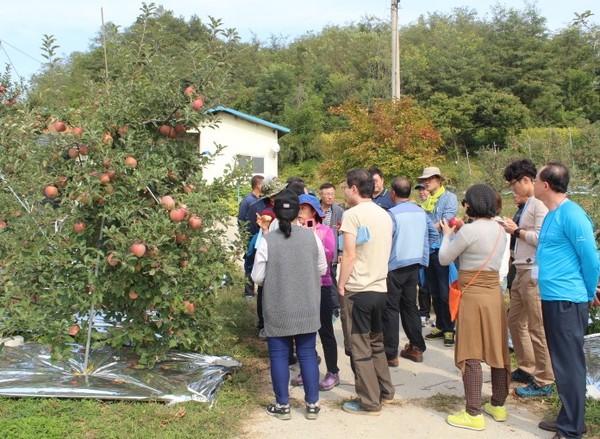 ▲ 지난해 도시민 초청 농촌 팸투어에서 귀농귀촌 희망자들이 귀농자 과수원을 방문해 궁금한 이야기를 나누고 있다.ⓒ제천시