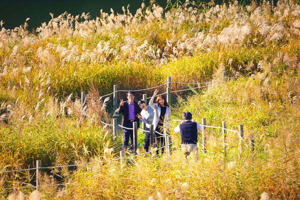 ▲ 단양남한강 갈대밭에서 연인들이 가을 추억을 담고 있다.ⓒ단양군