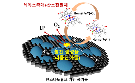 ▲ 리튬공기전지용 용해성촉매 '헴' 분자 작동원리. ⓒ숙명여자대학교