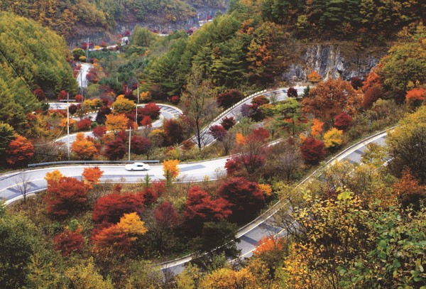 ▲ 단양 보발재 단풍 모습.ⓒ단양군