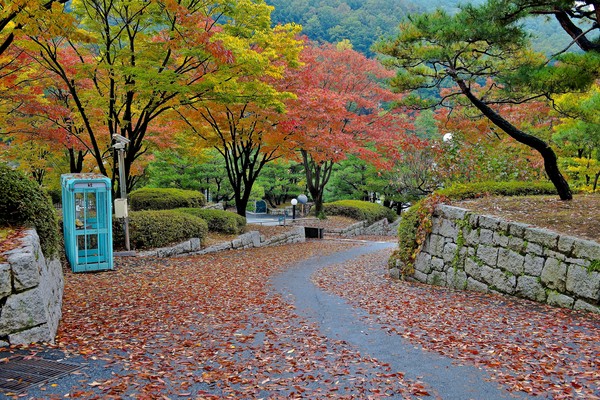 ▲ 국립청주박물관의 제6회 사진공모전에서 최우수상을 수상한 이명하씨의 ‘오색의 길’.ⓒ국립청주박물관