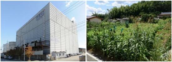 ▲ 평택 포승국가산업단지 내 위치한 창고시설과 경북 청도군 이서면 학산리 소재 임야 모습. ⓒ 지지옥션