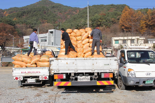 ▲ 한국수력원자력(주) 예천양수발전소는 지난 15일 주변 효자면사무소 주차장에서 축산농가를 위한 톱밥지원 행사를 가졌다.ⓒ예천군 제공