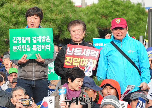 ▲ 집회 참석자들은 공적 공백이 불가피한 하야는 국익에 도움이 되지 않는다고 밝혔다. ⓒ뉴데일리 공준표 기자