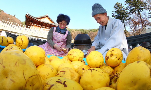 ▲ 지난 21일 경남 함양군 마천면 벽송사에서 한 스님과 신도가 모과차를 만들기 위해 노란모과를 손질하고 있는 모습.ⓒ함양군 제공