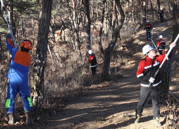 ▲ 단양주민들이 도담유아숲에서 숲 가꾸기 1일 체험을 하고 있다.ⓒ단양국유림관리소