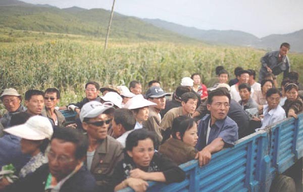 ▲ 북한의 육상운송을 책임지고 있다는 '써비차'의 모습. ⓒ북한전문매체 '뉴포커스' 관련보도 화면캡쳐