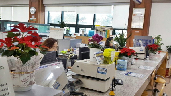 창원시 성산구 민원실에 포인센티아 화분이 놓여 있는 모습.ⓒ창원시 제공