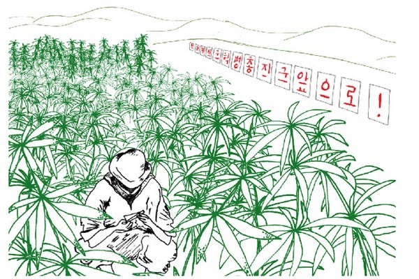 북한의 통치구호와 대마초 그림. 국내에서는 잘 알려지지 않았지만, 북한에서는 대마초 재배 및 흡연이 합법이라고 한다. ⓒ美바이스닷컴 관련보도 화면캡쳐