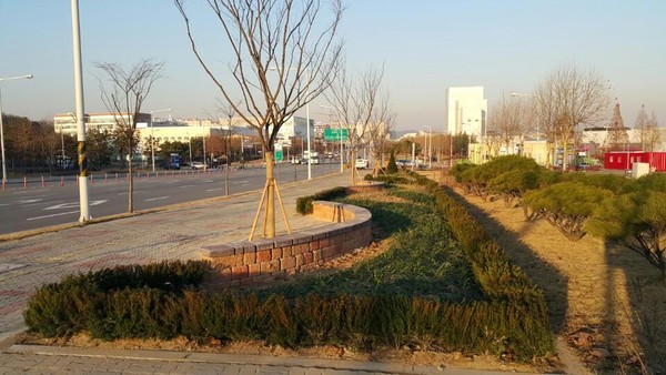 ▲ 충북 청주시 청원구 오창읍 송대리에 조성된 녹색 쌈지숲.ⓒ청주시