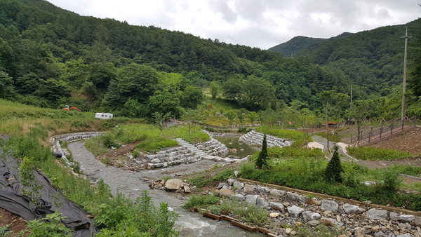 ▲ 삼기천 어류서식처.ⓒ증평군