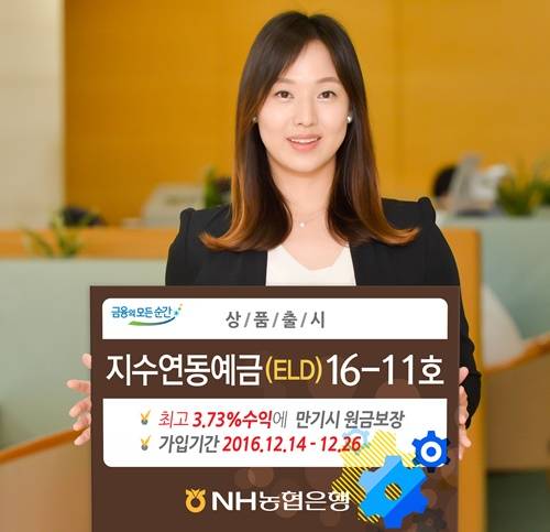 ▲ 농협은행이 저금리시대에 고수익과 원금보장까지 가능한 '지수연동예금(ELD)16-11호'를 14일부터 26일까지 판매한다. ⓒ농협은행