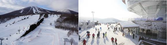 ▲ 일본 앗피리조느 스키장(왼쪽)과 강원랜드의 하이원리조트 스키장 모습ⓒ강원랜드