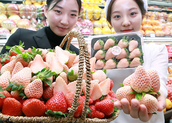 ▲ ⓒ현대백화점