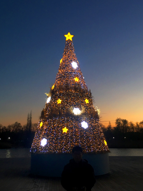 ▲ 억새트리. ⓒ서울시 제공