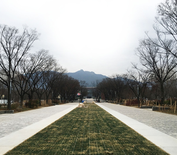 ▲ 입구숲 조성 사업. ⓒ서울대공원 제공