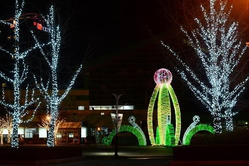 ▲ 경기도 고양시 일산호수공원서 매년 열리는 '고양호수꽃빛축제' 자료사진. ⓒ 고양국제꽃박람회