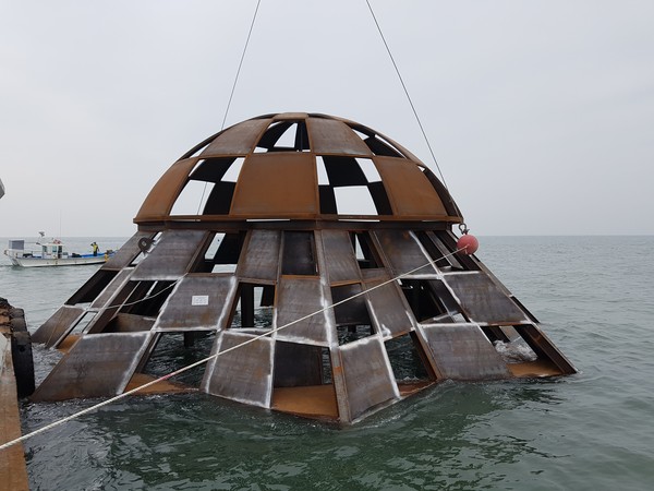 ▲ 팔각별강제어초.ⓒ충남도