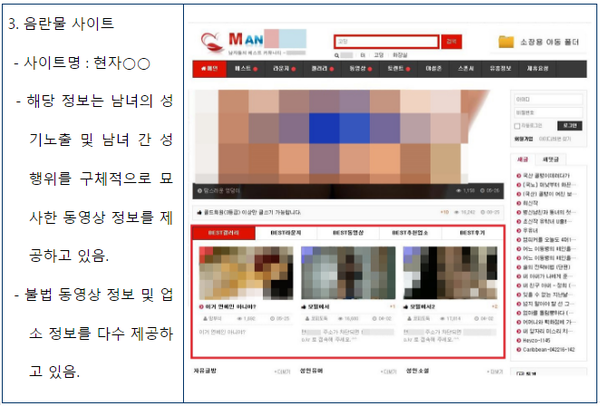 ▲ 서울시 인터넷 시민감시단이 적발한 음란물 정보 공유 사이트. ⓒ서울시 제공